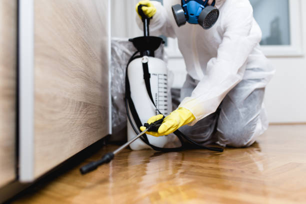 Best Affordable Pest Control Services  in Hazel Park, MI