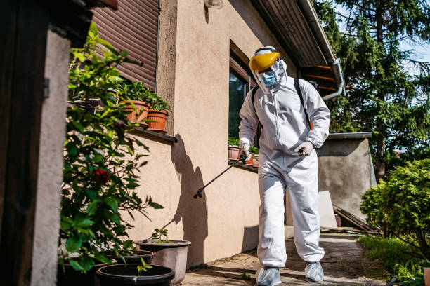 Best Residential Pest Control  in Hazel Park, MI
