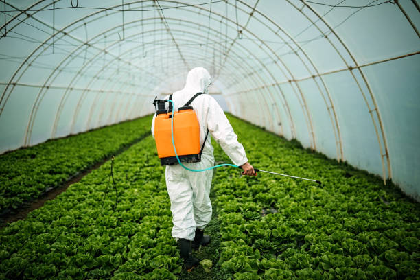 Best Pest Control Near Me  in Hazel Park, MI