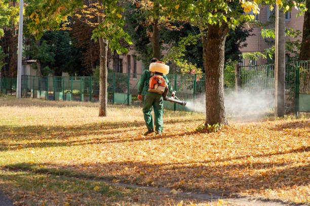 Flea Control Services in Hazel Park, MI